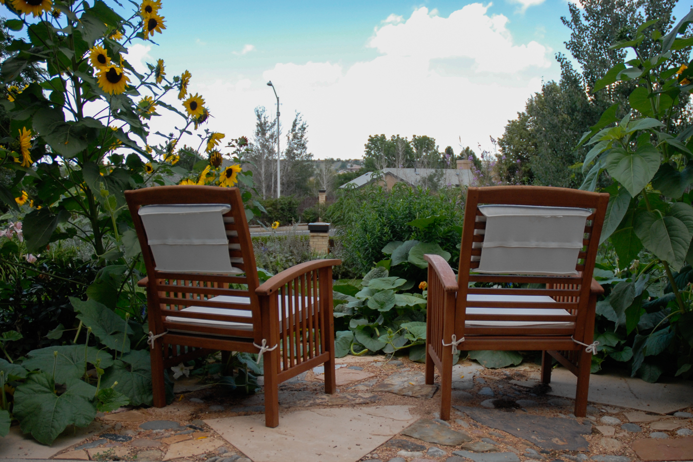 Terraced Turf Backyard